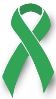 Lyme Disease Ribbon