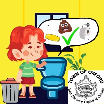Flushable items in the Town of Oxford OxfordFlushable2